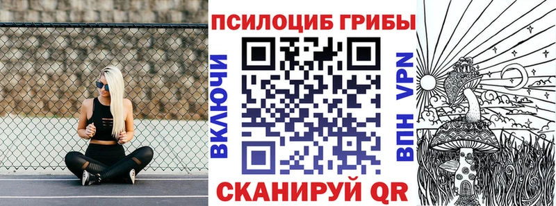 Псилоцибиновые грибы Magic Shrooms Терек