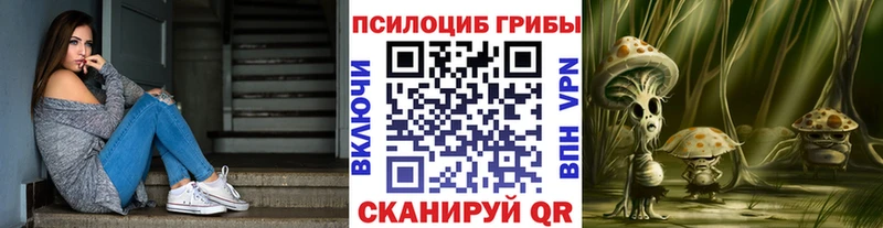Псилоцибиновые грибы мицелий  Терек 